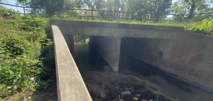 [Two children playing in One Mile Branch, 10:18:51, 30.8428717, -83.3015484]