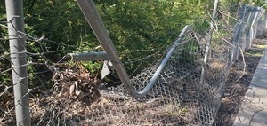 [Context: Barbed wire over bent chainlink fence, Azalea City Trail, 10:27:20, 30.8429074, -83.3001012]