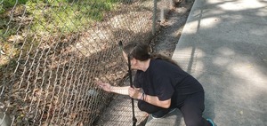 [Hand through fence, 10:29:34, 30.8428982, -83.3000206]