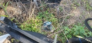 [Trash beyond the silt fence, 11:13:41, 30.8430921, -83.3010381]