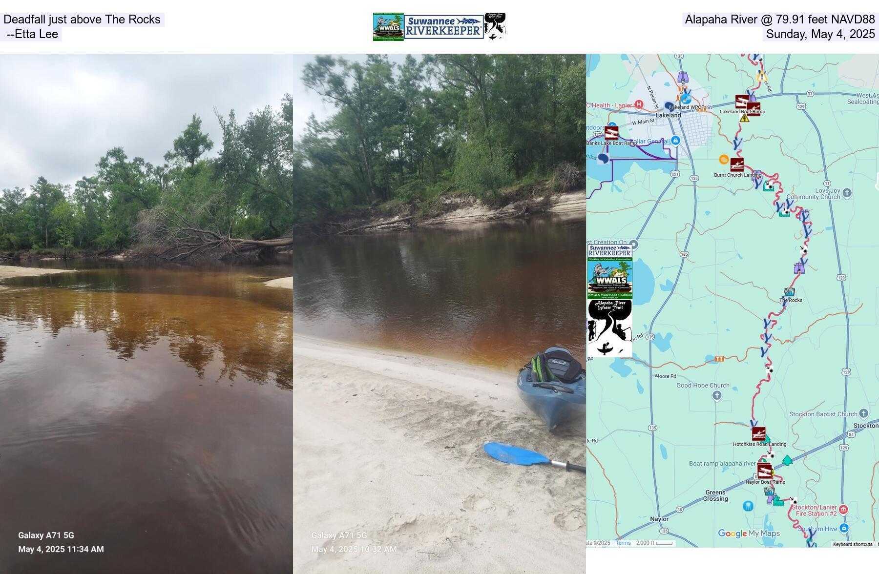 Deadfall just above The Rocks, Alapaha River @ 79.91 feet NAVD88, --Etta Lee, Sunday, May 4, 2025