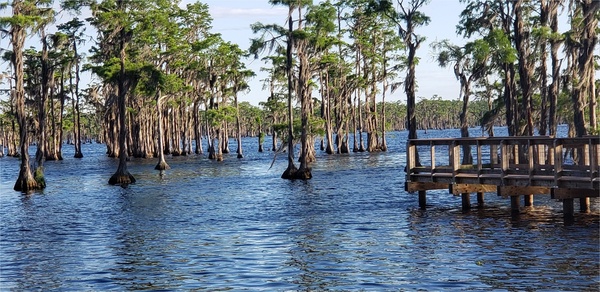 [Fishing dock --Janet Martin]