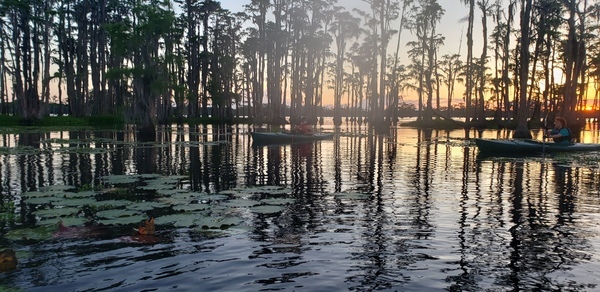 [Boats in the sunset --Janet Martin]