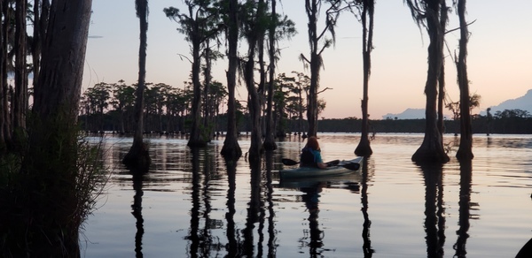 [Paddling up cloud mountains --Janet Martin]