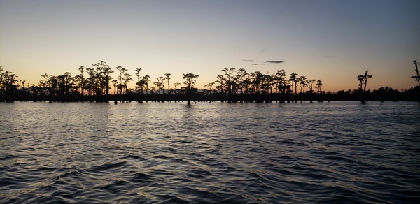 [Lake getting dark --Janet Martin]