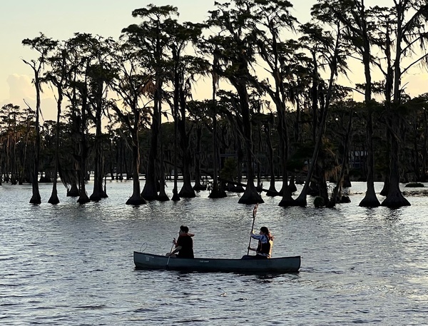 [Janet into the cypress --Kimberly Godden Tanner]