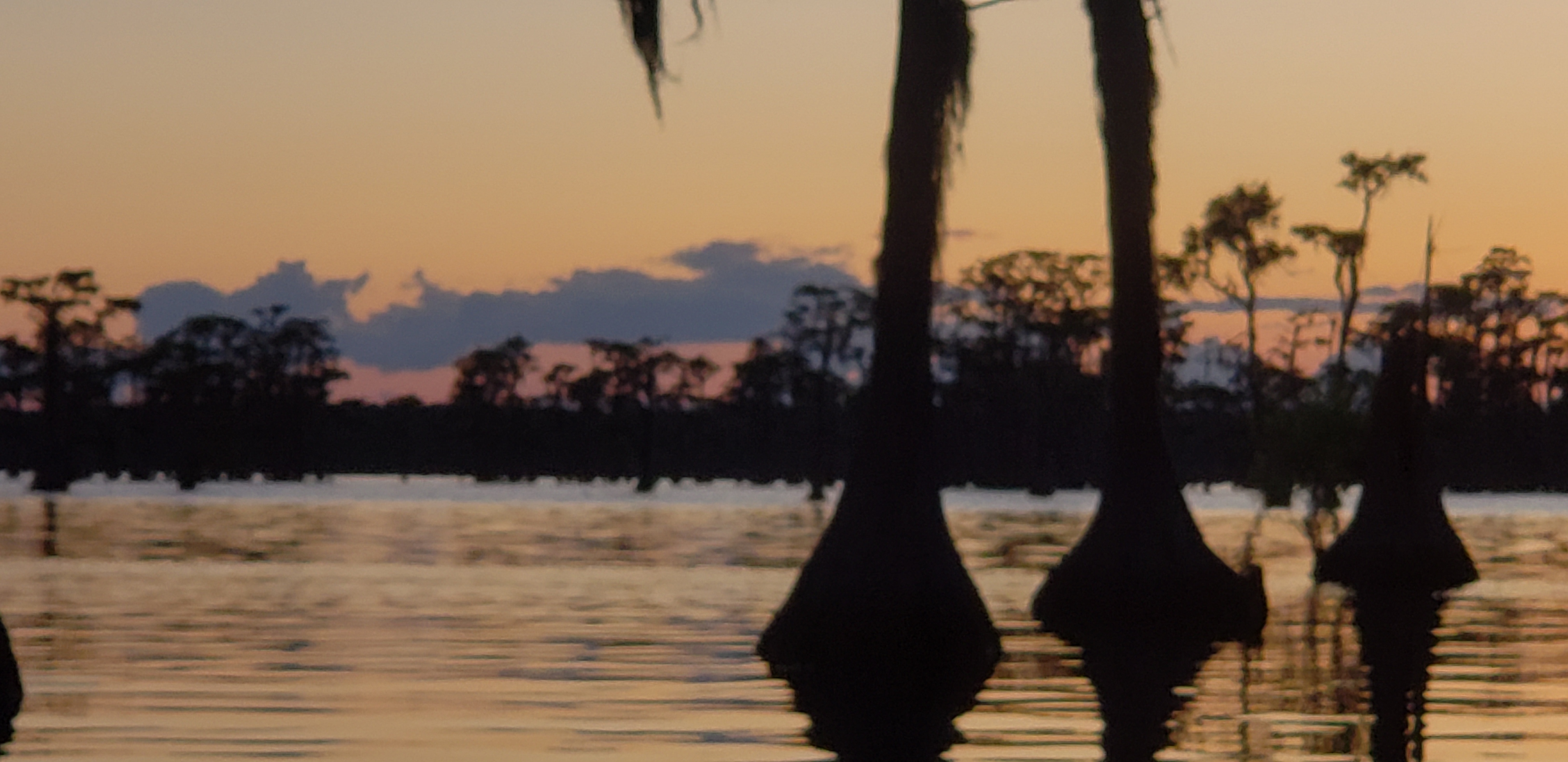 Sunset --Janet Martin