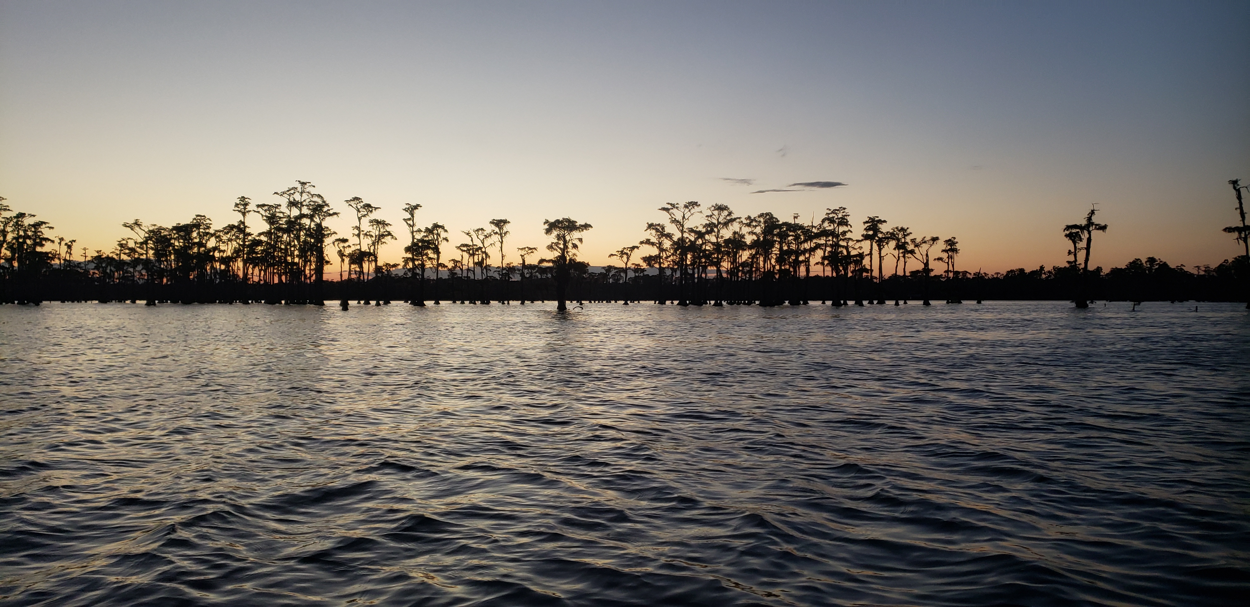 Lake getting dark --Janet Martin