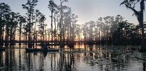[Sunset cypress boats --Janet Martin]