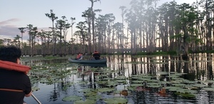 [Canoe --Janet Martin]
