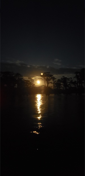 [Moonglow --Janet Martin]