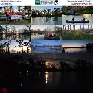 [Full Flower Moon Paddle, Banks Lake NWR 2025-05-12, Lakeland, GA, Alapaha River Water Trail]