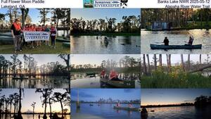 [Full Flower Moon Paddle, Banks Lake NWR 2025-05-12, Lakeland, GA, Alapaha River Water Trail]