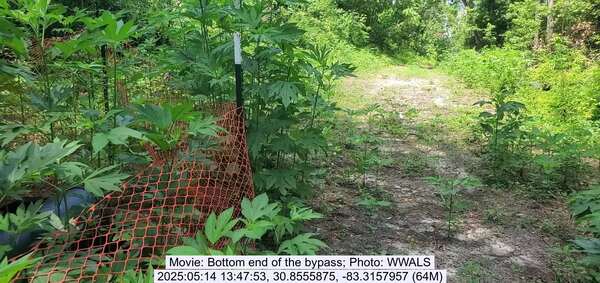 Movie: Bottom end of the bypass, 2025:05:14 13:47:53, 30.8555875, -83.3157957 (64M)