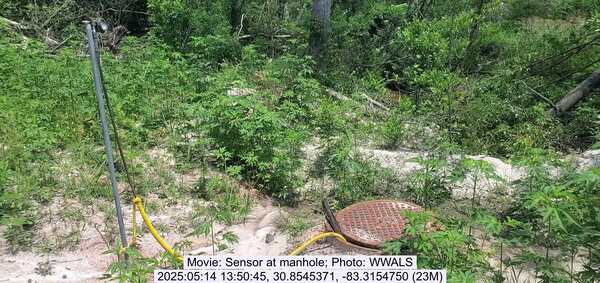 Movie: Sensor at manhole, 2025:05:14 13:50:45, 30.8545371, -83.3154750 (23M)