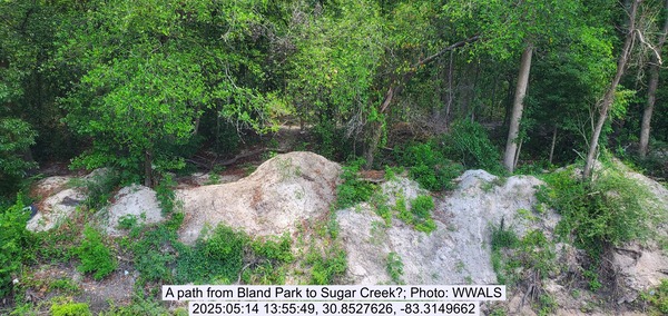 A path from Bland Park to Sugar Creek?, 2025:05:14 13:55:49, 30.8527626, -83.3149662