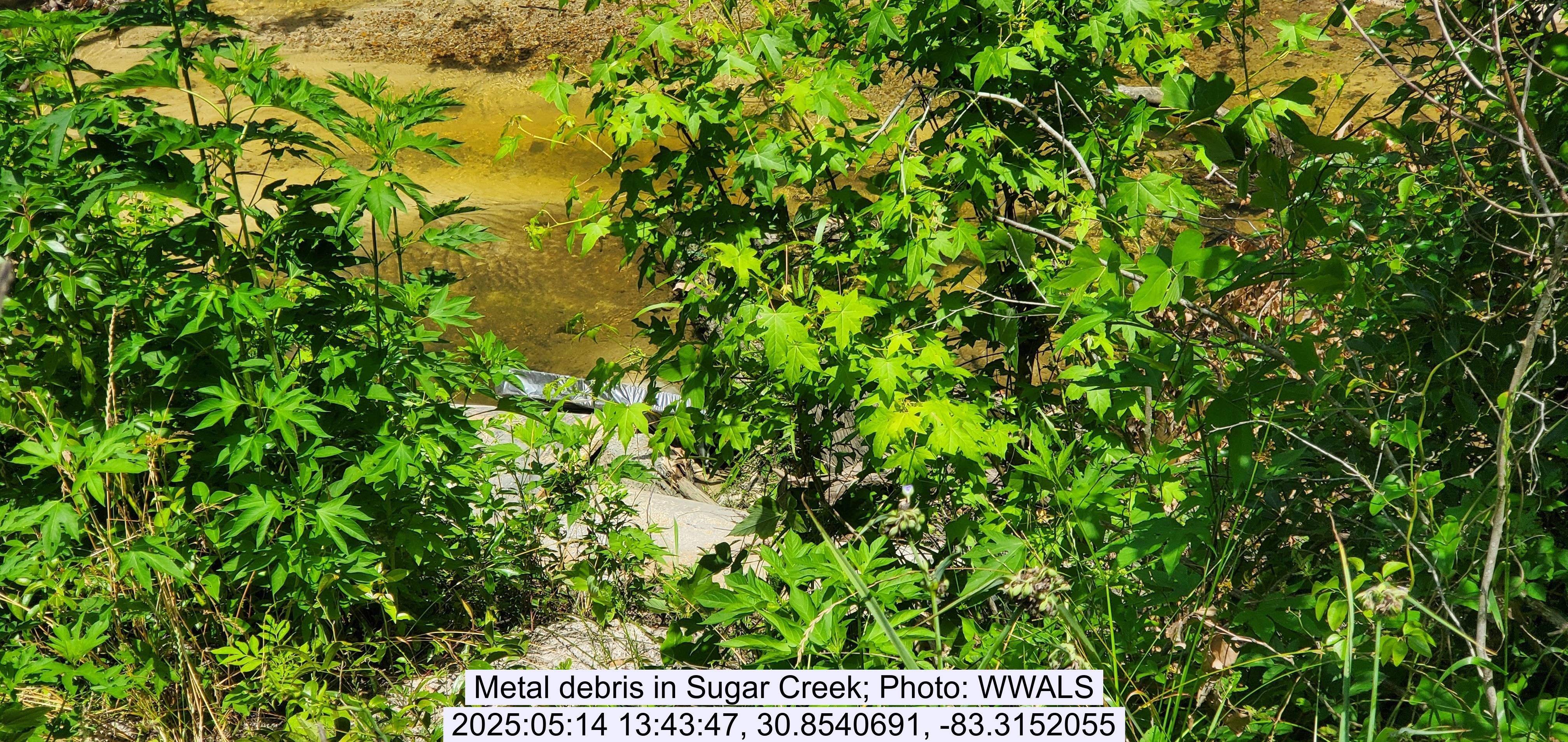 Metal debris in Sugar Creek, 2025:05:14 13:43:47, 30.8540691, -83.3152055
