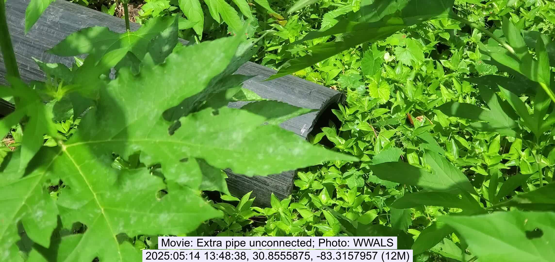 Movie: Extra pipe unconnected, 2025:05:14 13:48:38, 30.8555875, -83.3157957 (12M)