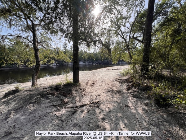 [Naylor Park Beach, Alapaha River @ US 84 --Kim Tanner for WWALS, 2025-05-15]