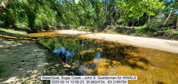 [WaterGoat, Sugar Creek --John S. Quarterman for WWALS, 2025:05:14 12:58:23, 30.8624724, -83.3185764]
