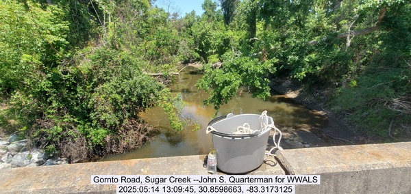 [Gornto Road, Sugar Creek --John S. Quarterman for WWALS, 2025:05:14 13:09:45, 30.8598663, -83.3173125]