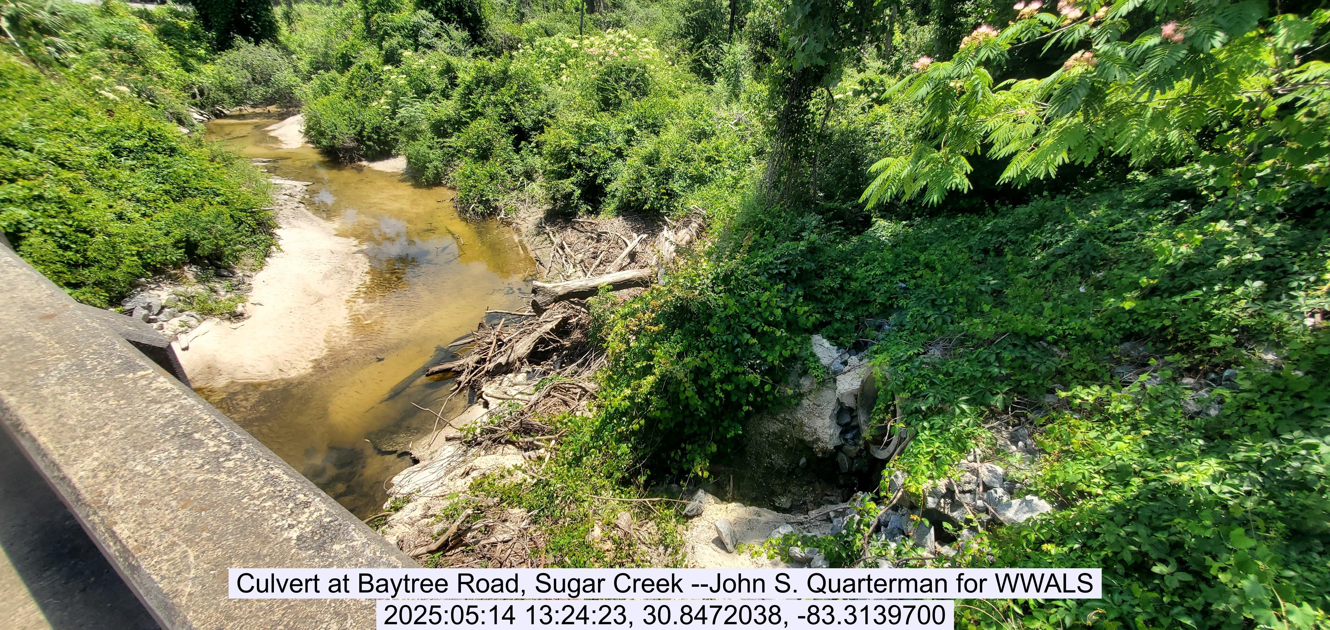 Culvert at Baytree Road, Sugar Creek --John S. Quarterman for WWALS, 2025:05:14 13:24:23, 30.8472038, -83.3139700
