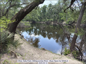 [Other, Holly Point, Withlacoochee River --Russ Tatum for WWALS, 2025-05-14]