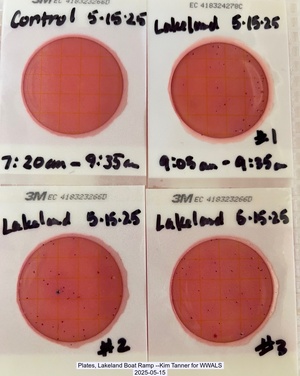 [Plates, Lakeland Boat Ramp --Kim Tanner for WWALS, 2025-05-15]