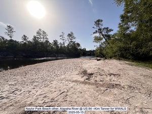 [Naylor Park Beach other, Alapaha River @ US 84 --Kim Tanner for WWALS, 2025-05-15]