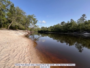 [Naylor Park Beach other, Alapaha River @ US 84 --Kim Tanner for WWALS, 2025-05-15]