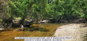 [Two Mile Branch entering Sugar Creek --John S. Quarterman for WWALS, 2025:05:14 12:58:30, 30.8624724, -83.3185764]