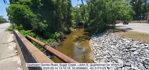 [Upstream Gornto Road, Sugar Creek --John S. Quarterman for WWALS, 2025:05:14 13:10:18, 30.8598663, -83.3173125]