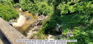 [Culvert at Baytree Road, Sugar Creek --John S. Quarterman for WWALS, 2025:05:14 13:24:23, 30.8472038, -83.3139700]