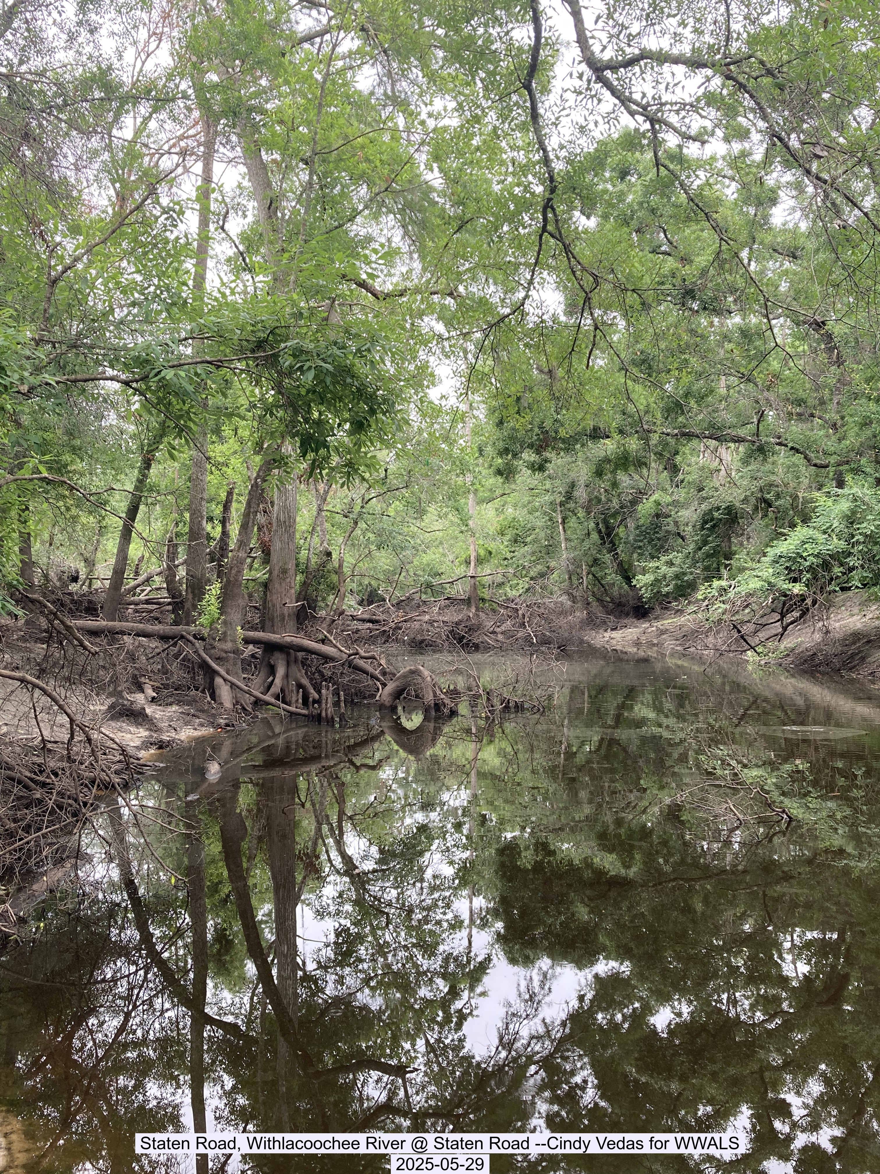 Staten Road, Withlacoochee River @ Staten Road --Cindy Vedas for WWALS, 2025-05-29