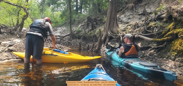 [Robinson Creek, Suwannee River --jsq for WWALS, 2025-05-31, 12:06:32, 30.3367484, -82.6855960]