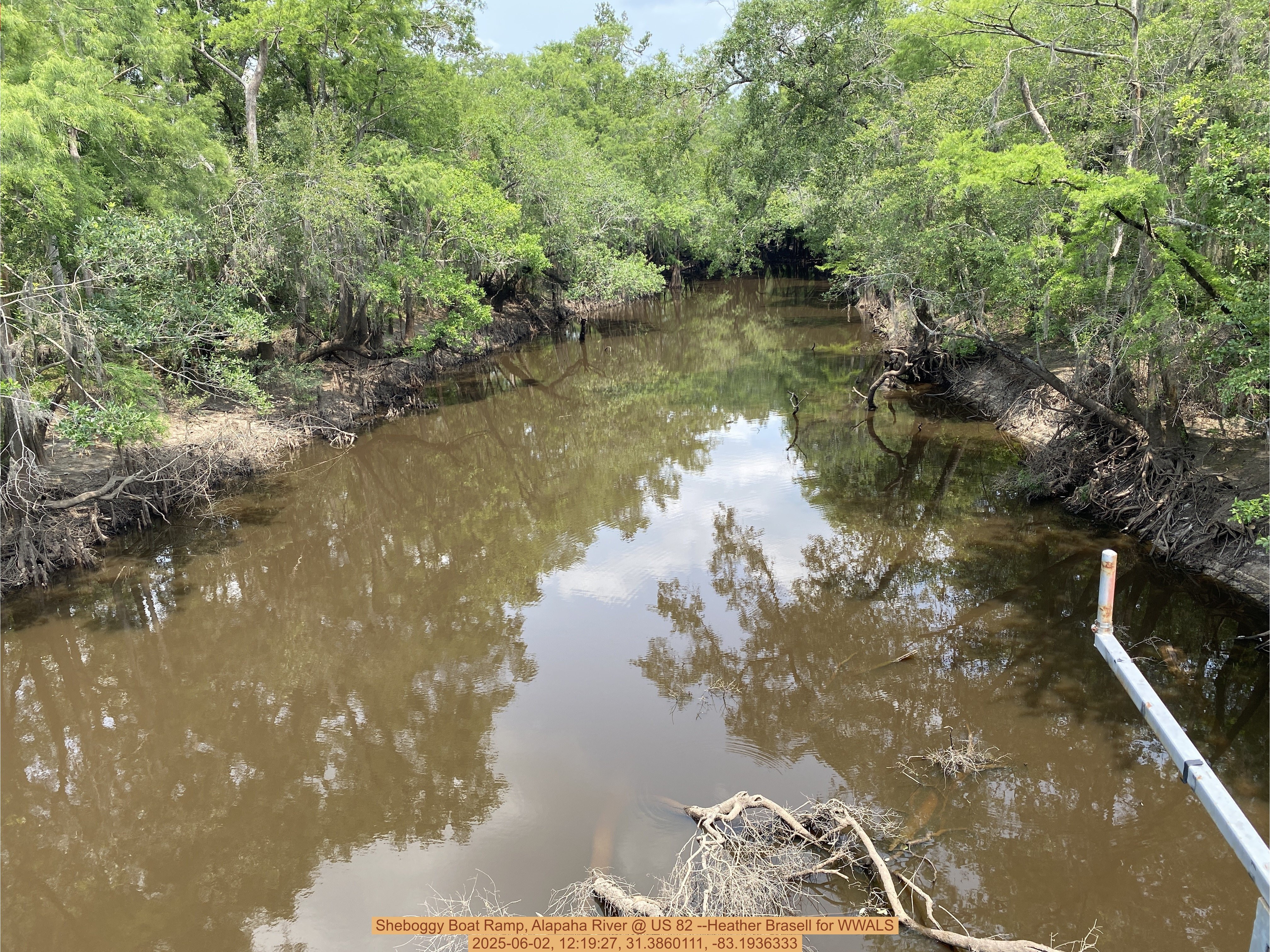 Sheboggy Boat Ramp, Alapaha River @ US 82 --Heather Brasell for WWALS, 2025-06-02, 12:19:27, 31.3860111, -83.1936333