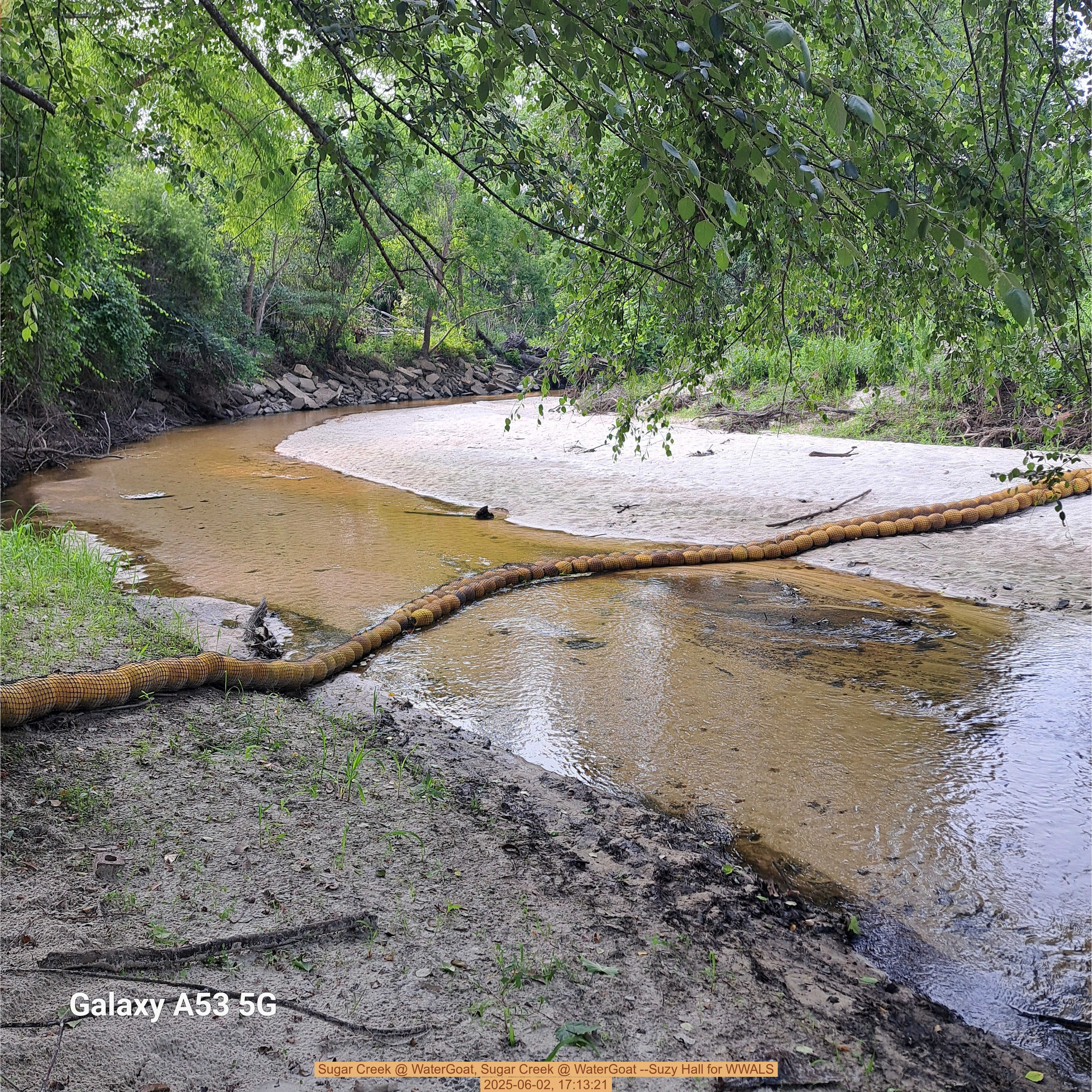 Sugar Creek @ WaterGoat, Sugar Creek @ WaterGoat --Suzy Hall for WWALS, 2025-06-02, 17:13:21