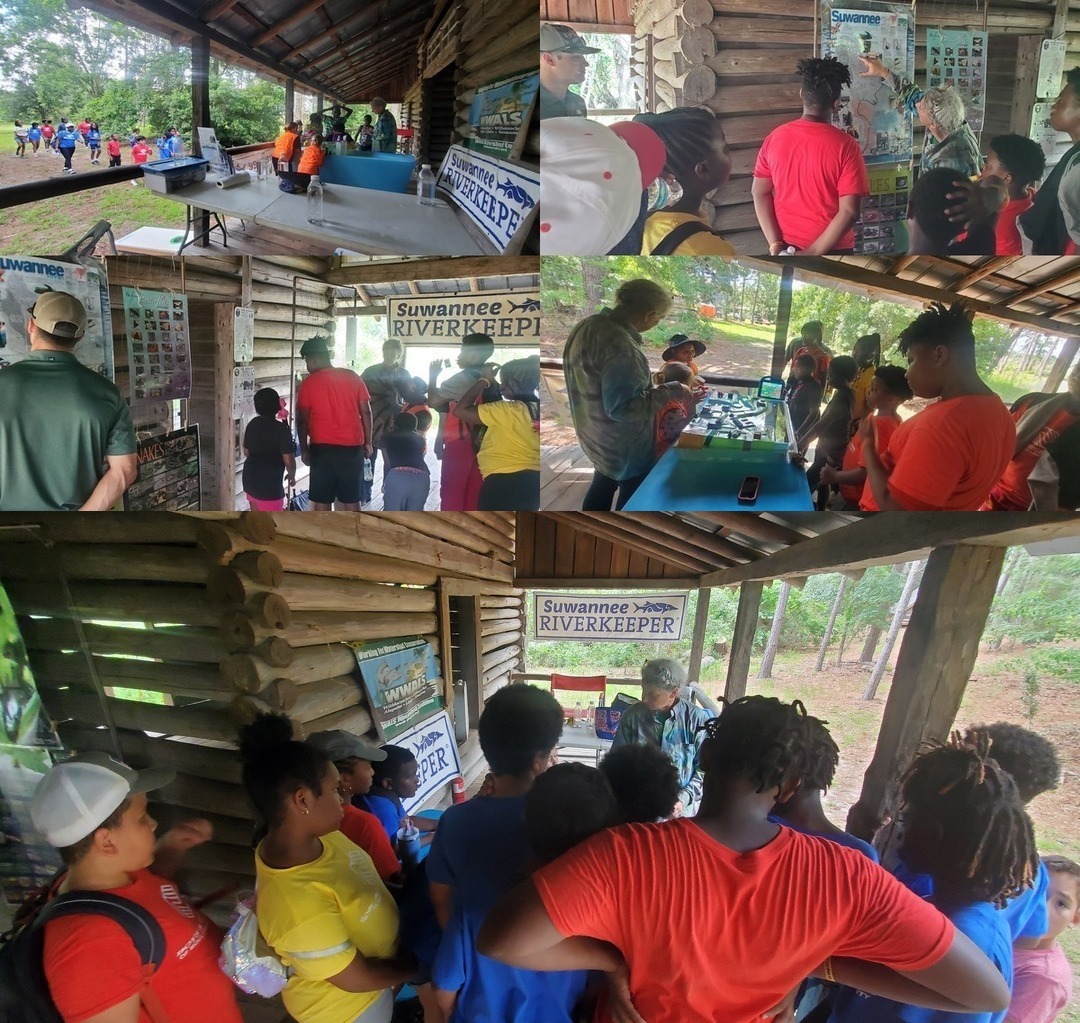 Children and Working Forests at Gaskins Forest Education Center, Georgia Forestry Foundation, Colquitt/Moultrie B&G Club 2025-06-06
