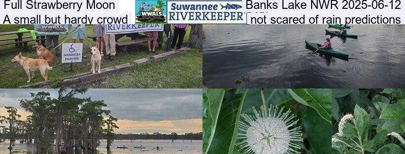 Full Strawberry Moon, Banks Lake NWR 2025-06-12, A small but hardy crowd, not scared of rain predictions