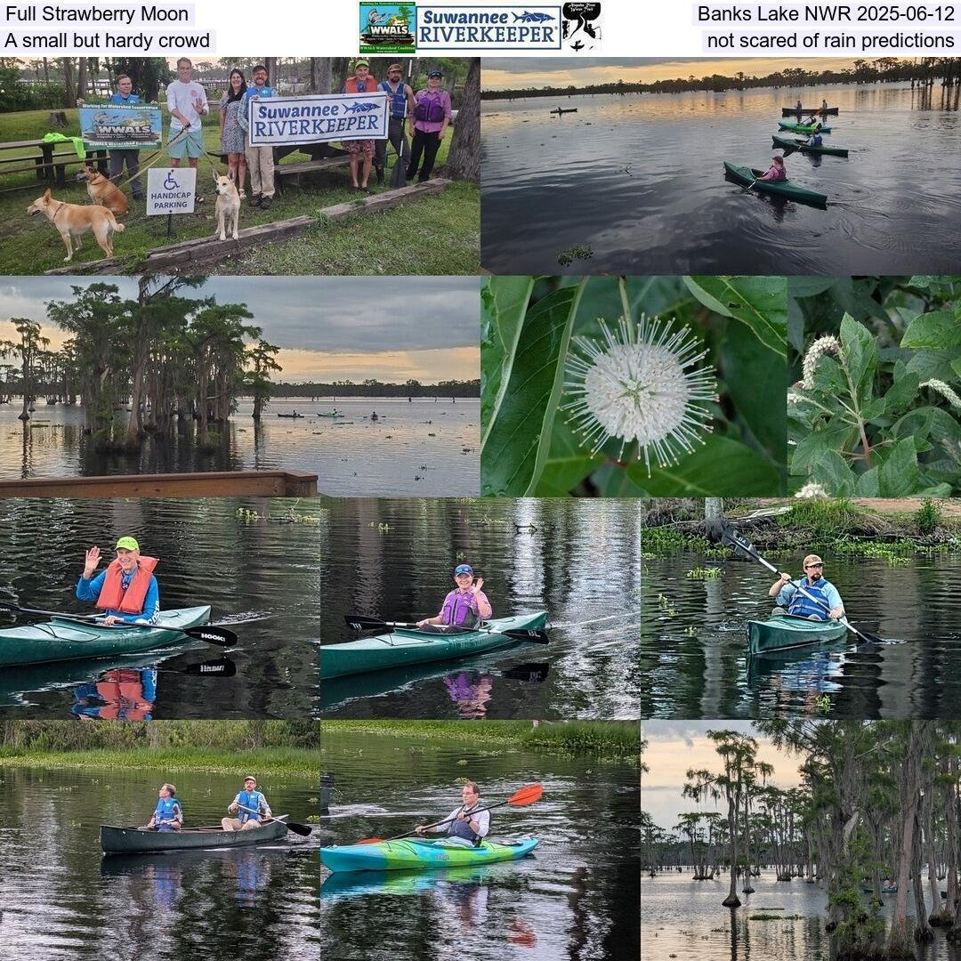 Full Strawberry Moon, Banks Lake NWR 2025-06-12, A small but hardy crowd, not scared of rain predictions