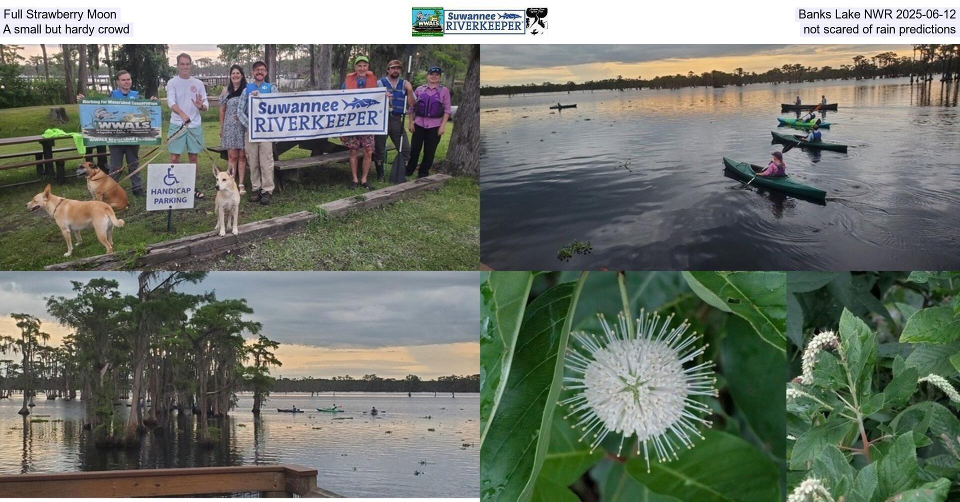 [Full Strawberry Moon, Banks Lake NWR 2025-06-12, A small but hardy crowd, not scared of rain predictions]