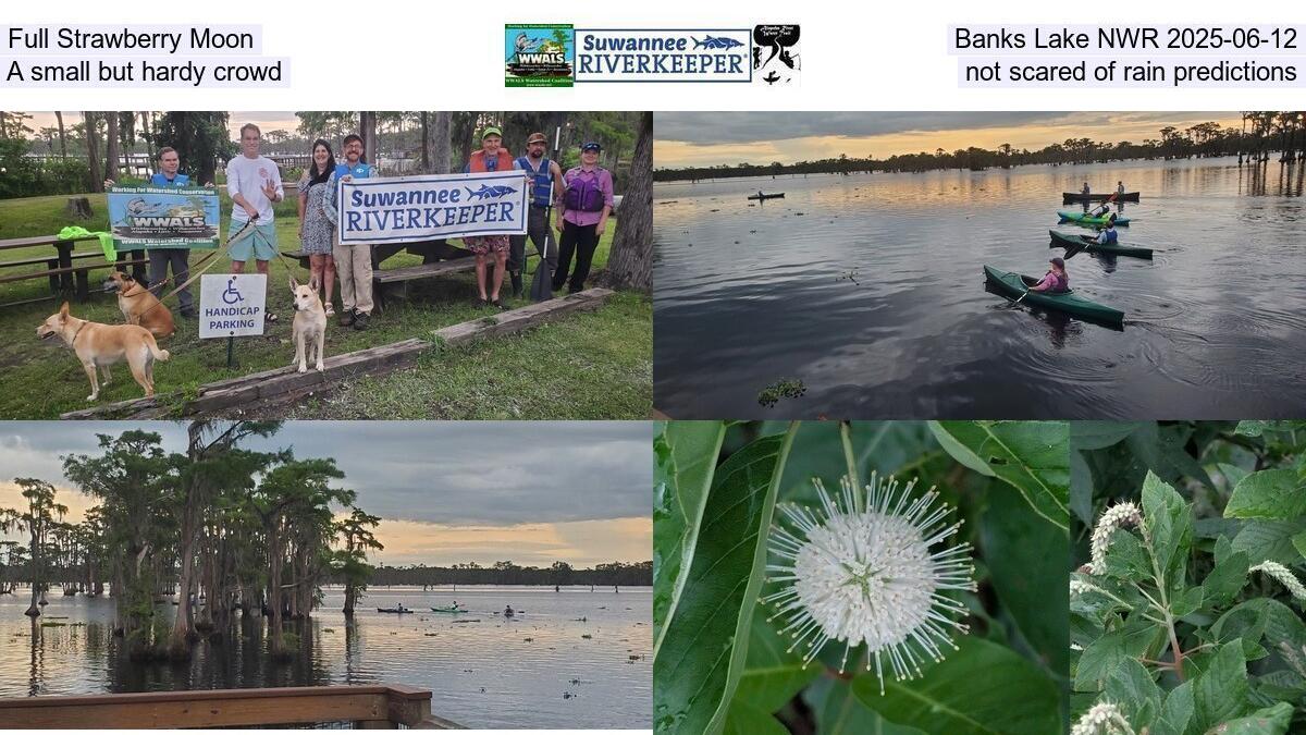 Full Strawberry Moon, Banks Lake NWR 2025-06-12, A small but hardy crowd, not scared of rain predictions