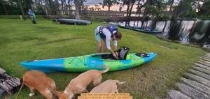 [Dogs help Gee get ready --jsq for WWALS, 2025:06:11 20:00:50, 31.0351267, -83.0968575]