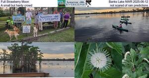 [Full Strawberry Moon, Banks Lake NWR 2025-06-12, A small but hardy crowd, not scared of rain predictions]