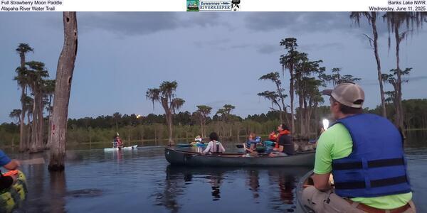 Full Strawberry Moon Paddle, Banks Lake NWR, Alapaha River Water Trail, Wednesday, June 11, 2025