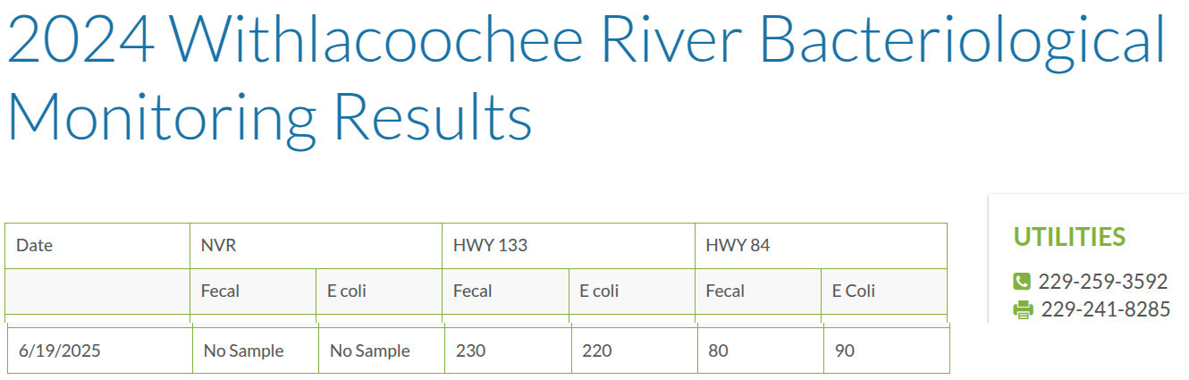 Table: Withlacoochee River Results at GA 133 and US 84, 2025-06-19 --Valdosta Utilities