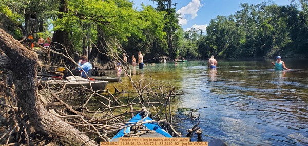 [People swimming in spring and river water, 2025:06:21 11:35:46, 30.4804721, -83.2440192 --jsq for WWALS]