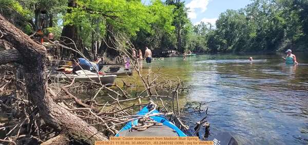 Movie: Cooler downstream from Madison Blue Spring, 2025:06:21 11:35:49, 30.4804721, -83.2440192 (30M) --jsq for WWALS