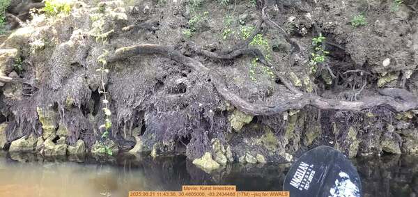 Movie: Karst limestone, 2025:06:21 11:43:36, 30.4805000, -83.2434488 (17M) --jsq for WWALS