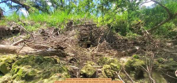 [Movie: Hurricane debris on Tanner Spring stairs, 2025:06:21 13:12:27, 30.4644269, -83.2180431 (13M) --jsq for WWALS]